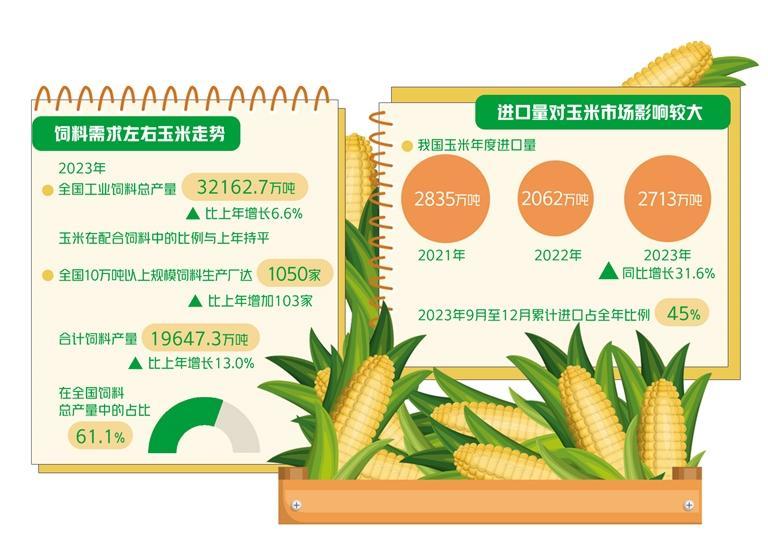 今年玉米市场走势如何