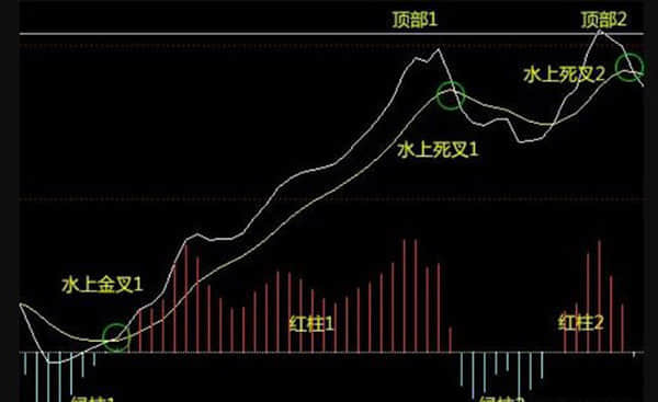 现代设施农业保增产促增收